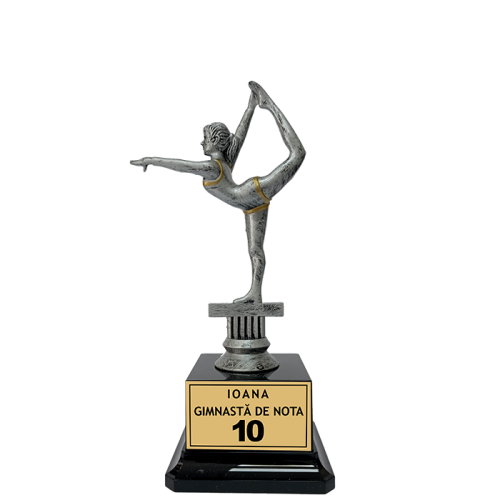 Gimnastica - Trofeu "Gimnasta de Nota 10"