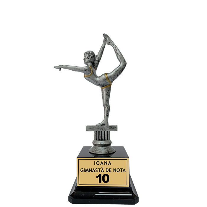 Gimnastica - Trofeu "Gimnasta de Nota 10"