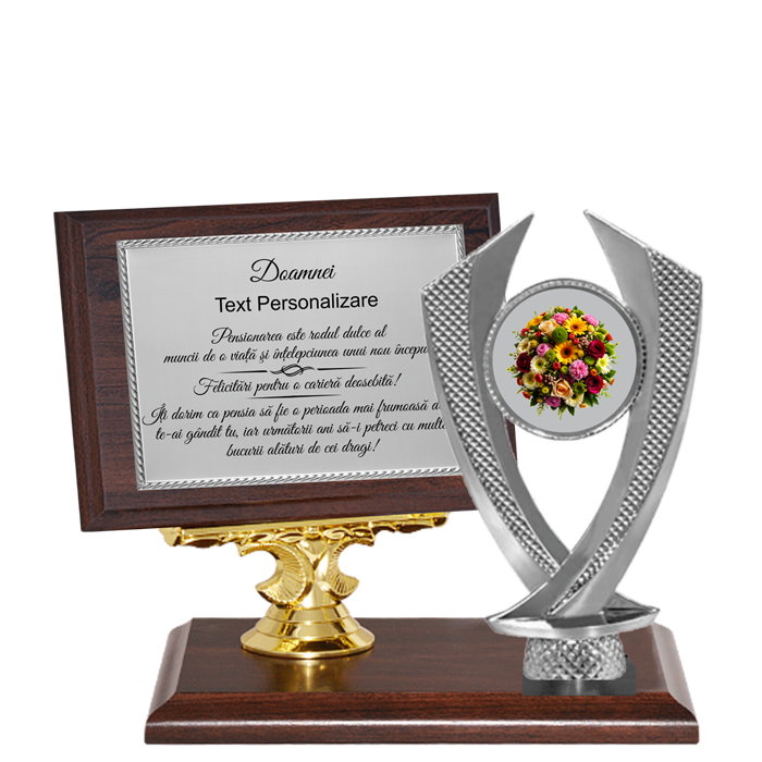 Trofeu Pensionare - M1